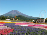 2003年夏　富士急グリンパ　Flower Performance 2004 in Summer