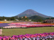 2003年夏　富士急グリンパ　Flower Performance 2004 in Summer