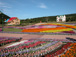 2003年夏　富士急グリンパ　Flower Performance 2004 in Summer