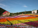 2003年夏　富士急グリンパ　Flower Performance 2004 in Summer