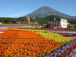 2003年夏　富士急グリンパ　Flower Performance 2004 in Summer