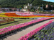 2003年夏　富士急グリンパ　Flower Performance 2004 in Summer