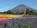 2003年夏　富士急グリンパ　Flower Performance 2004 in Summer