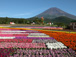 2003年夏　富士急グリンパ　Flower Performance 2004 in Summer