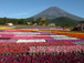 2003年夏　富士急グリンパ　Flower Performance 2004 in Summer