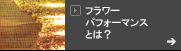 フラワーパフォーマンスとは？